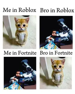 Me vs bro 