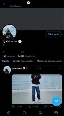 Profil Twitter