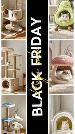 Pet Supplies black