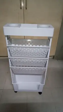 Student Organizer