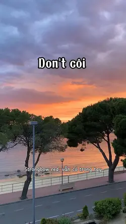Don't côi