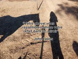 reflet miroir 
