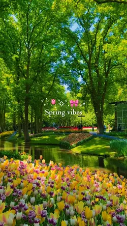 spring vibes
