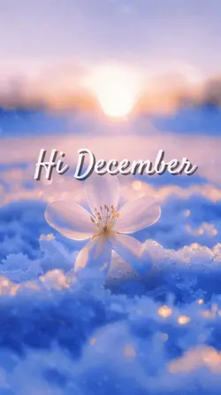 Hi December 