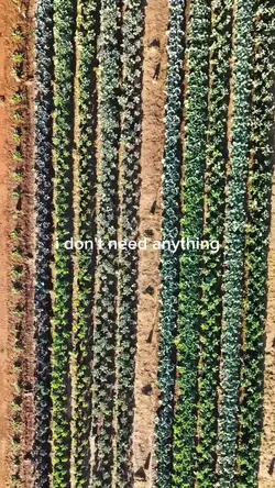 farming edition