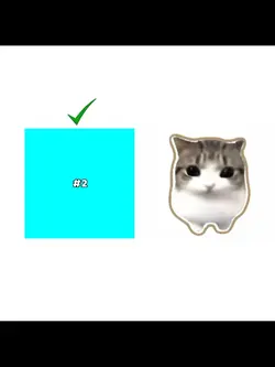Dam Dam Di Di Cat