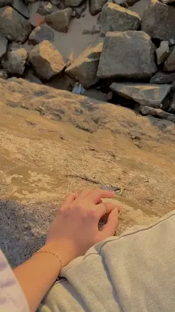 4 video cingciripit