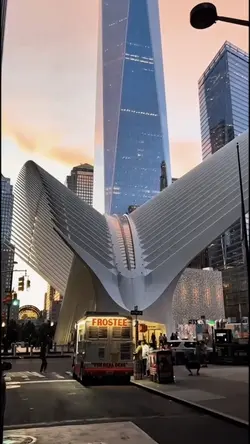 City vlog trend