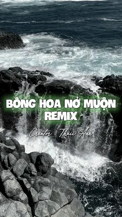 MẪU 10 NHẠC CUỐNN