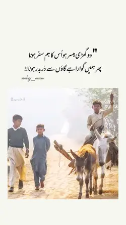 village_lover 