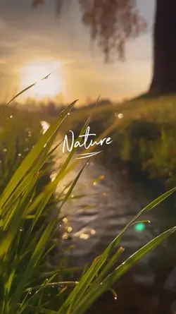Nature