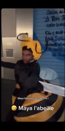 MEME MAYA