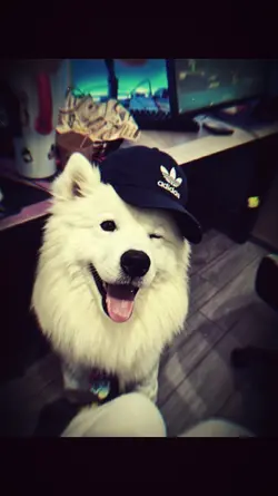 1 ảnh + Màu ig