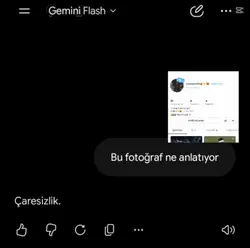caresixlik
