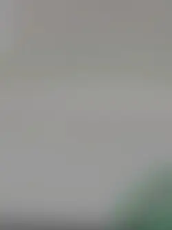 TOBWSM 