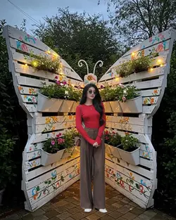 butterfly frame