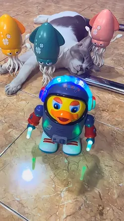 JJ MIMI MII MAU MIMI