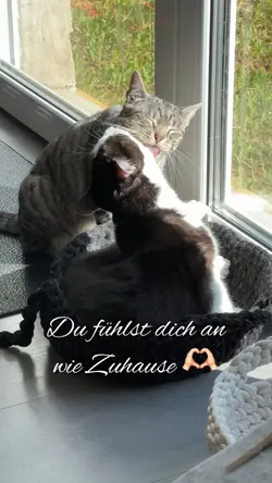 Wie Zuhause 🫶🏻