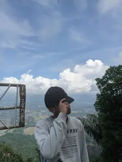 stecu stecu 