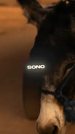 PIANO A PIANO B