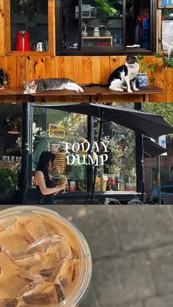 today dump