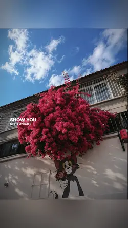 Lyrics + Màu