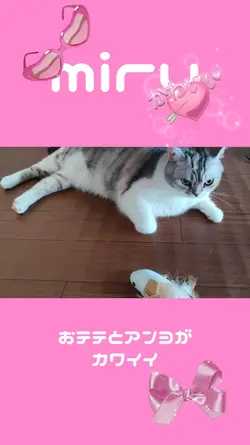 カワイイ