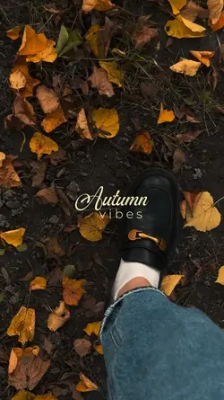 autumn vibes