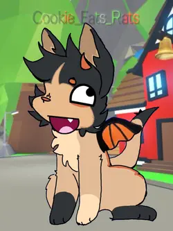 Am animation 