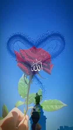 kalbimde ALLAH 