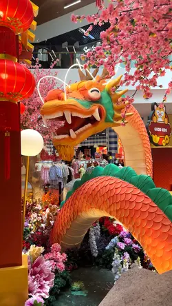 Chinese New Year 🐉