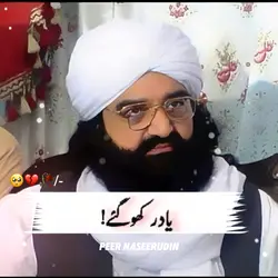 Peer naseerudin