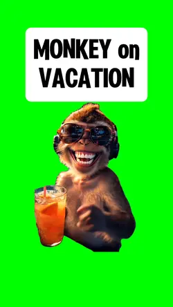 MONKEY on VACATION