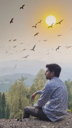 Birds Sunset