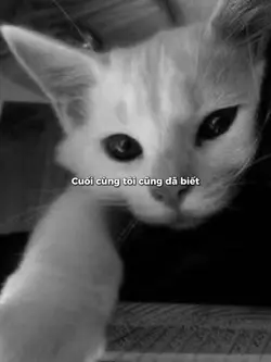 cuối cùng tôi đã bie