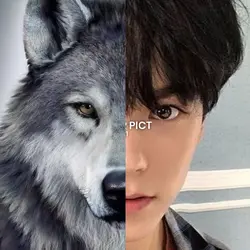 alpha wolf pfp