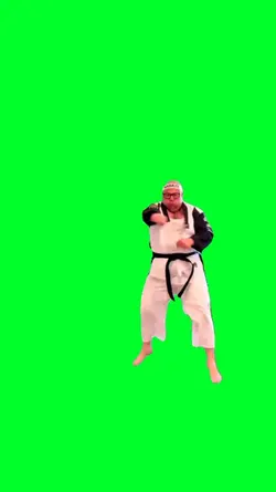 Kung fu master