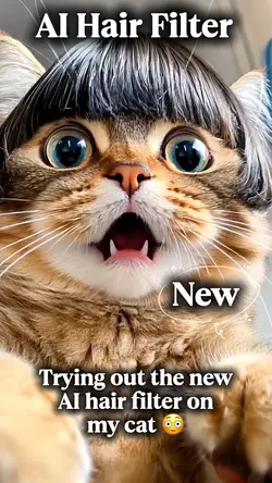 AI Hair Filter 