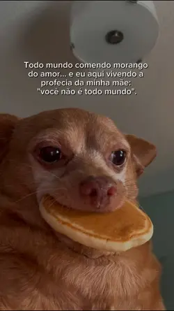 Morango do amor 