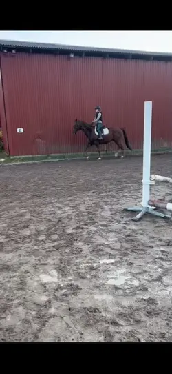 Från hela lägret❤️