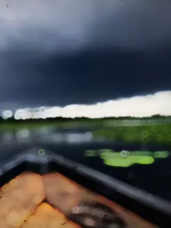 Slowmotion Video 
