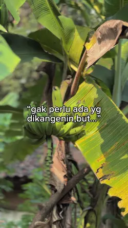 Teks bisa diganti