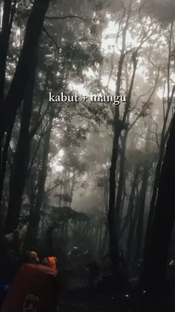 mangu dan kabut