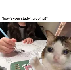 Study n cry with me