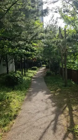 오늘의일상 #산책
