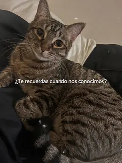 lo recuerdo....
