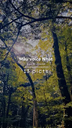 Mẫu voice Nhật
