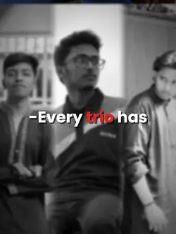 Trio Trend