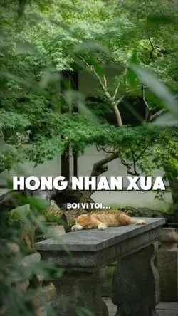 Bởi vì tôi