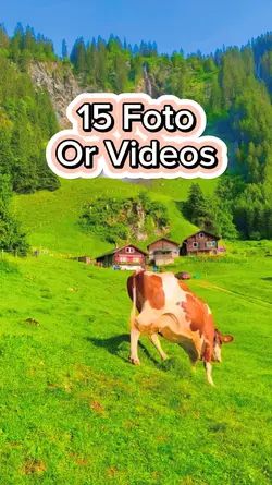 15 Video Slides